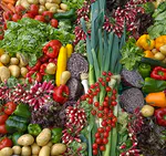 Web Recipe Collection