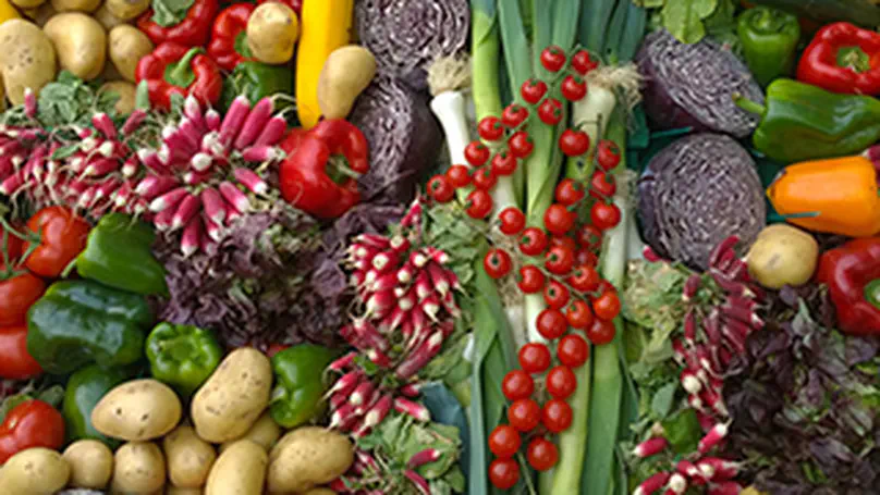 Web Recipe Collection