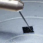 Shockley Diode
